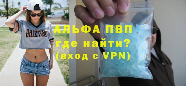 сатива Беломорск