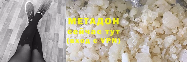 сатива Беломорск