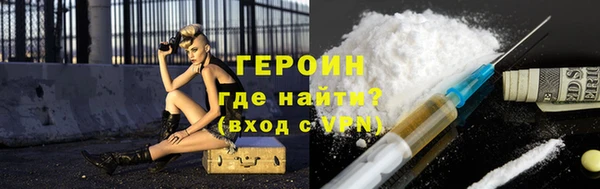 сатива Беломорск