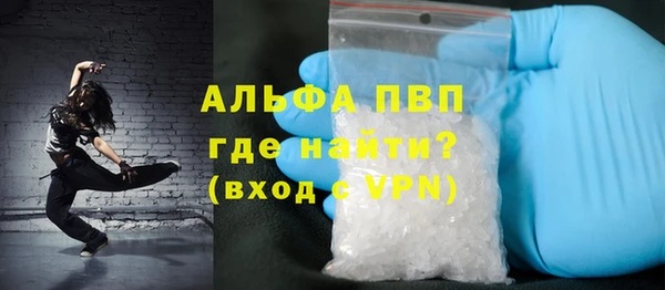 сатива Беломорск