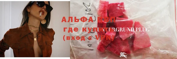 сатива Беломорск