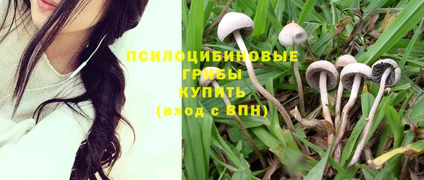 ECSTASY Белокуриха