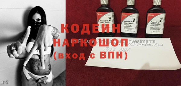 сатива Беломорск