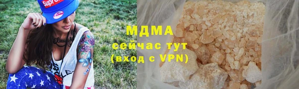 сатива Беломорск